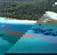 All Inclusive Tangalooma Wrecks Cruise Tour From Gold Coast - SA Accommodation