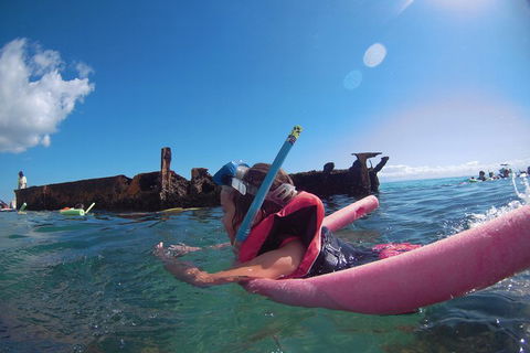 All Inclusive Tangalooma Wrecks Cruise Tour From Gold Coast - SA Accommodation 3