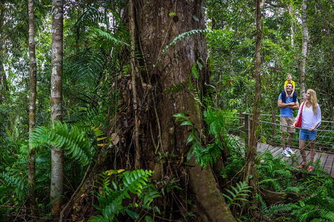 Kuranda Day Tour + HotAir Balloon Combo - SA Accommodation 3