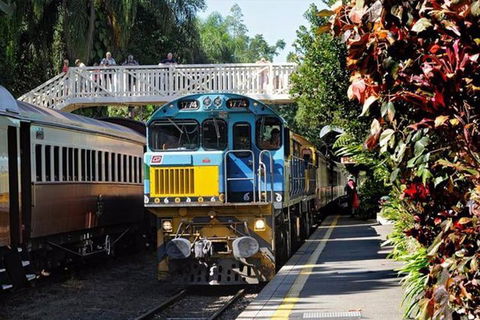 Kuranda Day Tour + HotAir Balloon Combo - SA Accommodation 4