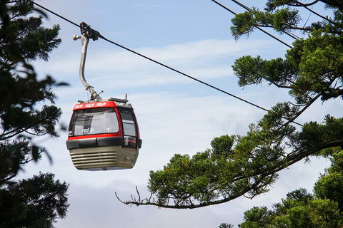 Sydney Taronga Zoo General Entry Ticket And Wild Australia Experience - SA Accommodation 2