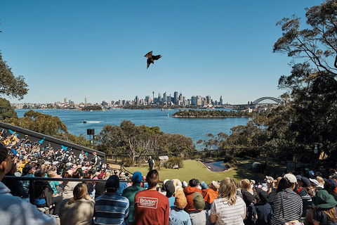 Sydney Taronga Zoo General Entry Ticket And Wild Australia Experience - SA Accommodation 5