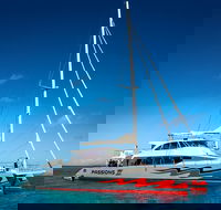 Passions of Paradise Great Barrier Reef Snorkel and Dive Cruise from Cairns by Luxury Catamaran - SA Accommodation