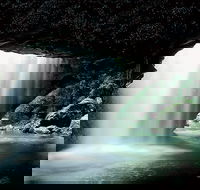 Natural Bridge Glow Worm Night Tour from Gold Coast - SA Accommodation