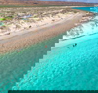 Ningaloo in a Day - Full Day Hike and Snorkel Tour with Lunch - SA Accommodation