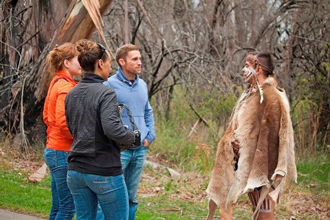 Blue Mountains Tour From Sydney With An Aboriginal Experience - SA Accommodation 3
