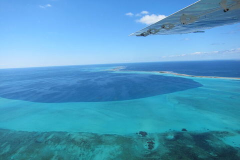 Shipwreck Special Full Day Tour Of The Abrolhos Islands - SA Accommodation 2