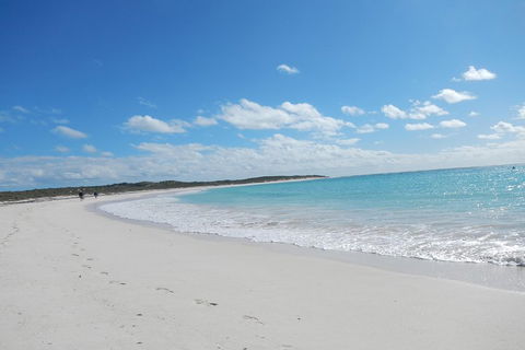 Shipwreck Special Nature Tour/Half Day Tour - SA Accommodation 0