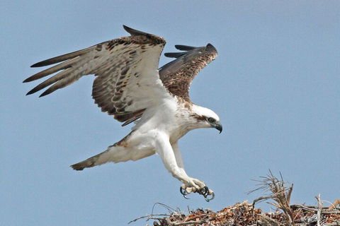 Shipwreck Special Nature Tour/Half Day Tour - SA Accommodation 4