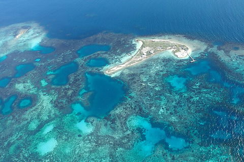 Shipwreck Special Nature Tour/Half Day Tour - SA Accommodation 5