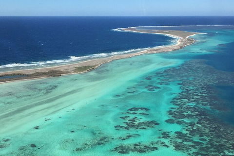 Pink Lake + Abrolhos Islands Nature Tour - SA Accommodation 2