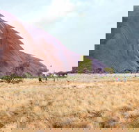 Uluru Sunrise and Guided Base Walk - SA Accommodation