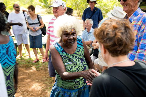 Tiwi Islands Cultural Experience From Darwin Including Ferry - SA Accommodation 0