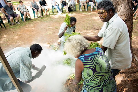 Tiwi Islands Cultural Experience From Darwin Including Ferry - SA Accommodation 4