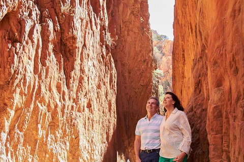Best Of Alice Springs Full Day Tour - SA Accommodation 4