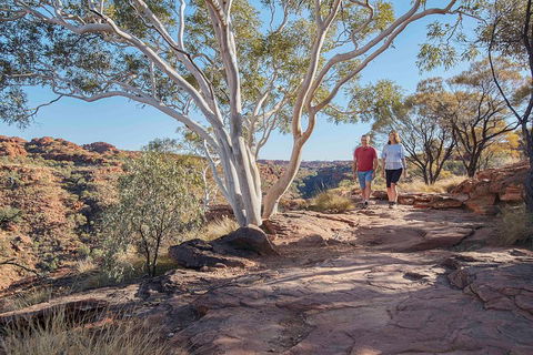 3-Day Tour From Uluru (Ayers Rock) To Alice Springs Via Kings Canyon - SA Accommodation 1
