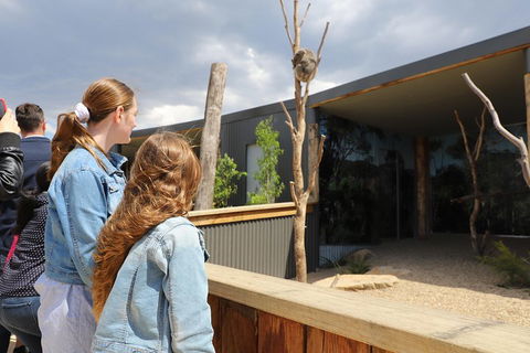 Blue Mountains Nature And Wildlife Day Tour From Sydney - SA Accommodation 3