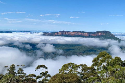 Small-Group Blue Mountains Tour With A Local Guide - SA Accommodation 4