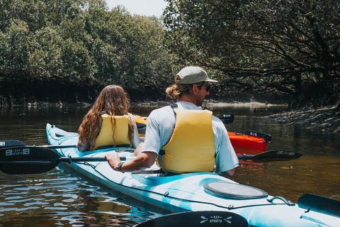 Kayak Tour In Adelaide Dolphin Sanctuary - SA Accommodation 2