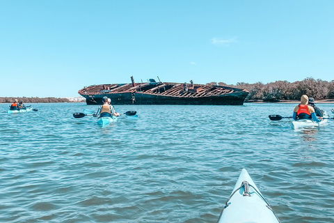 Kayak Tour In Adelaide Dolphin Sanctuary - SA Accommodation 3