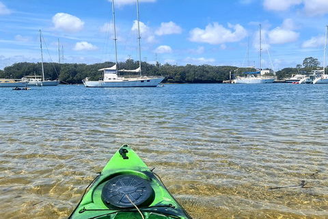 Kayak Tour In Adelaide Dolphin Sanctuary - SA Accommodation 4
