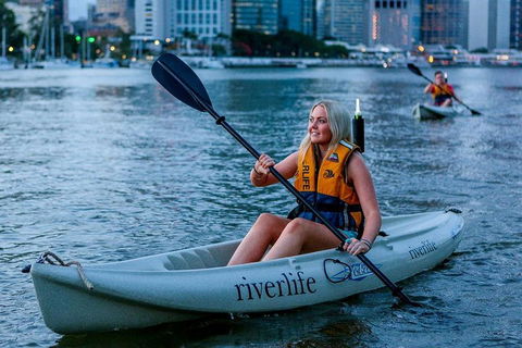 Brisbane Kayak Tour - SA Accommodation 2