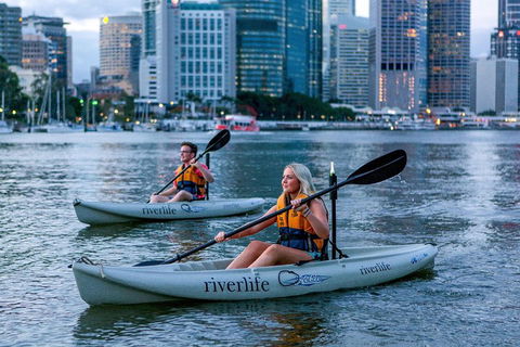 Brisbane Kayak Tour - SA Accommodation 3