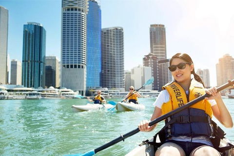 Brisbane Kayak Tour - SA Accommodation 5