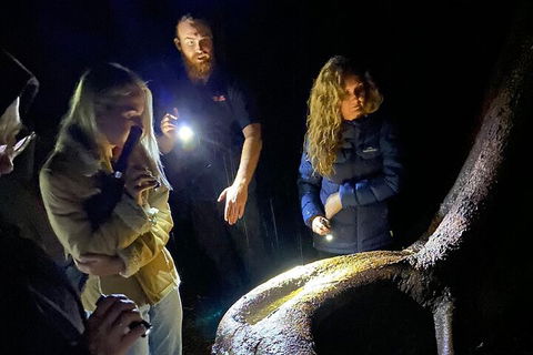 Evening Rainforest & Glow Worm Experience - SA Accommodation 2