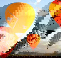 Natural Bridge  Springbrook Waterfalls Tour  Hot Air Balloon with Breakfast - SA Accommodation