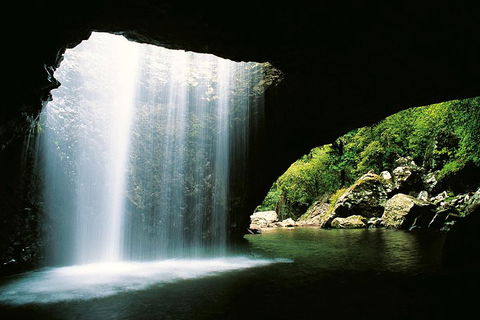 Natural Bridge & Springbrook Waterfalls Tour - SA Accommodation 0