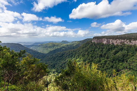 Natural Bridge & Springbrook Waterfalls Tour - SA Accommodation 1