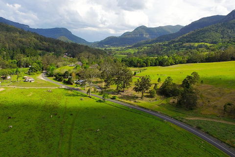 Natural Bridge & Springbrook Waterfalls Tour - SA Accommodation 2