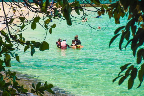 Green Island Day Trip From Cairns - SA Accommodation 2