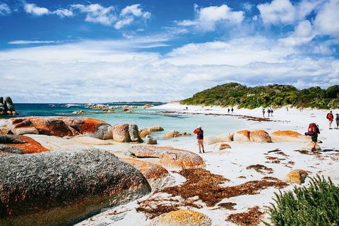 Wineglass Bay Private Charter Service - SA Accommodation 3