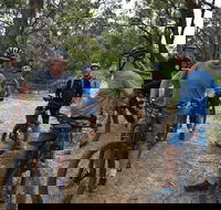 Fully guided E-Mountain Bike Tour on the beautiful Mornington Peninsula. - SA Accommodation
