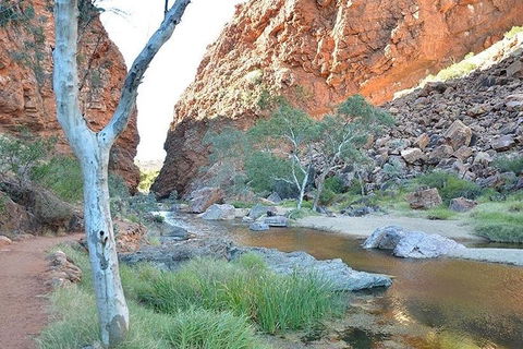 Alice Springs, Uluru Ayers Rock & Kings Canyon 8 Days Touring Package - SA Accommodation 2