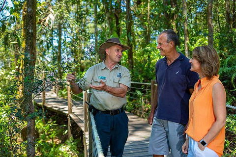 Kuranda Scenic Railway Day Trip From Cairns - SA Accommodation 1