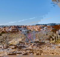 The Amazing Kings Canyon 4-Hours Walking Tour and Hike - SA Accommodation