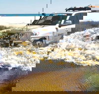 Full-Day Moreton Island 4x4 Sightseeing Tour - SA Accommodation
