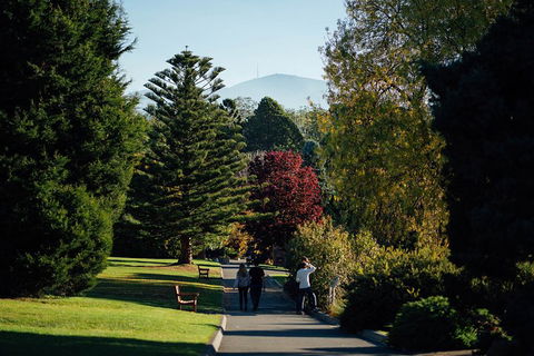 Private Royal Tasmanian Botanical Gardens Walking Tour - SA Accommodation 1