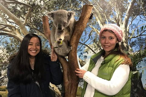 Australia Multi-City Attractions Pass - SA Accommodation 3