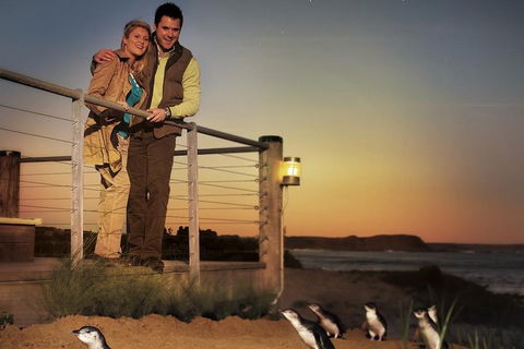 The Ultimate Melbourne Attractions Pass - SA Accommodation 3