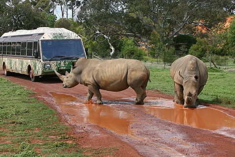 The Ultimate Melbourne Attractions Pass - SA Accommodation 4