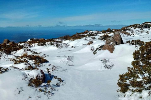 Mt Wellington Ultimate Experience Tour From Hobart - SA Accommodation 4