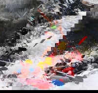Barron Gorge National Park Half-Day White Water Rafting from Cairns or Port Douglas - SA Accommodation