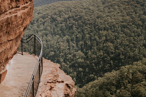 Private Blue Mountains And Wildlife Park Tour From Sydney With Barbecue Lunch - SA Accommodation 5