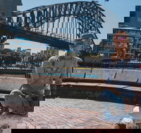 Sydney Private Tours by Locals 100 Personalized See the City Unscripted - SA Accommodation