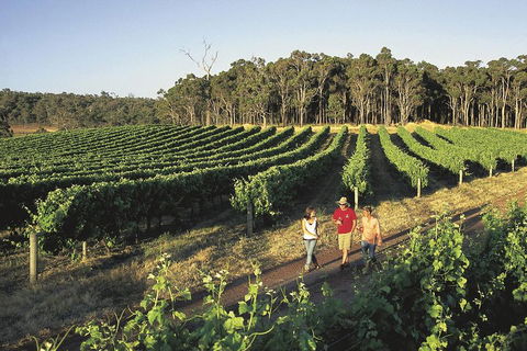 Margaret River, Caves, Wine And Cape Leeuwin Lighthouse Tour From Perth - SA Accommodation 1