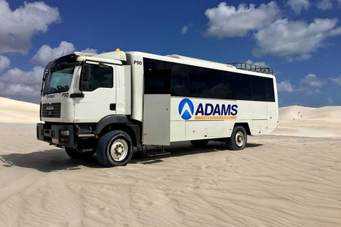 Pinnacles Desert, Koalas And Sandboarding 4WD Day Tour From Perth - SA Accommodation 2